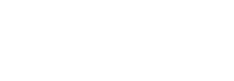 BIESS